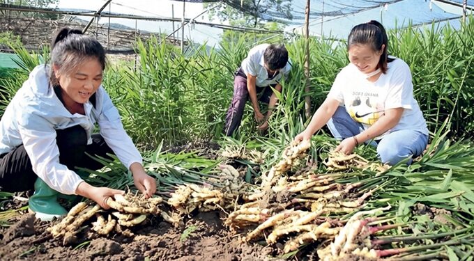 The aroma of the moment