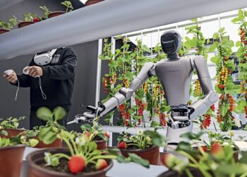 The Chinese creed of AI