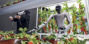 The Chinese creed of AI
