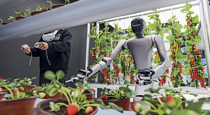 The Chinese creed of AI