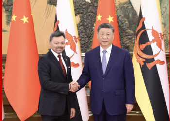 Xi Jinping meets Brunei Crown Prince, calls for deepening pragmatic cooperation