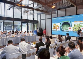 China, a strategic bet for multinationals